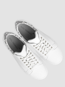 Кеди низькі Enzo Verratti Модель 18-1426-24wsk Фото