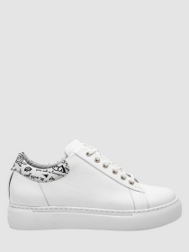 Кеды низкие Enzo Verratti модель 18-1426-24wsk Фото