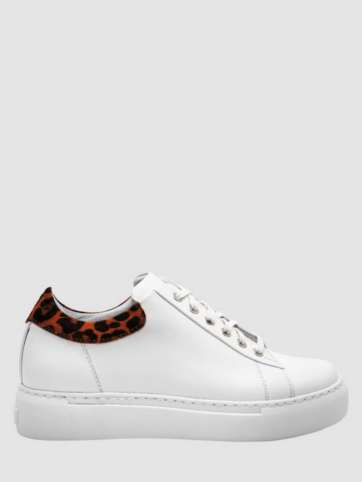 Кеди низькі Enzo Verratti модель 18-1426-24wskv Фото