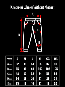 Брюки повседневные Without модель 8055061 Фото