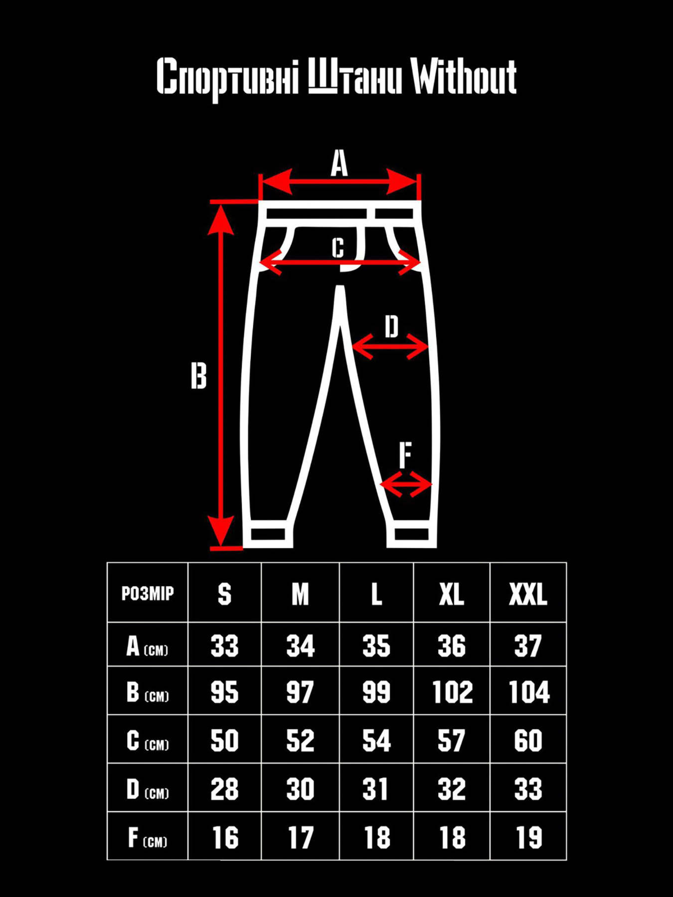 Штани спортивні Without модель 8048436 Фото