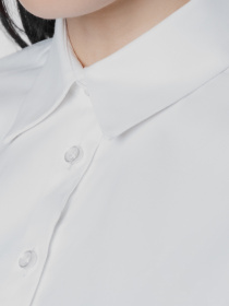 Сорочки Arber модель ANW05.01.00 Фото