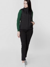 Утепленный жилет Arber модель ANW08.11.02 Утепленный жилет Arber модель ANW08.11.02 Фото