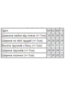 Комплект для младенцев Носи своє модель 5017-002-33-ne-viznacheno Фото