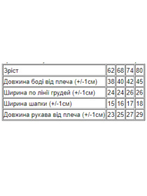 Комплект для немовлят Носи своє модель 5053-023-33-4-molochnij-bichok Фото