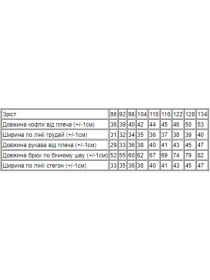 Спортивний костюм Носи своє модель 6018-023-33-5-blakitnij Фото