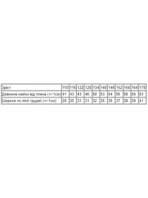 Футболка Носи своє 6072-1 модель 6072-1-chornij Фото