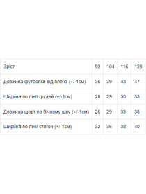 Сукня міні Носи своє модель 6101-077-ne-viznacheno Сукня міні Носи своє модель 6101-077-ne-viznacheno Фото