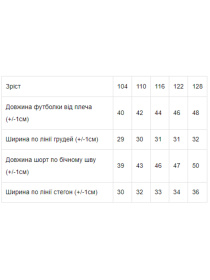 Костюм Носи своє модель 611657-ne-viznacheno Фото