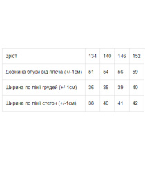 Блуза Носи своє модель 6141-066-ne-viznacheno Фото