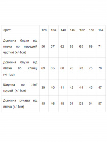 Блуза Носи своє модель 6142-066-33-ne-viznacheno Фото