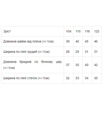 Костюм Носи своє модель 618657-ne-viznacheno Фото