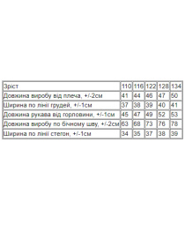 Спортивный костюм Носи своє модель 6369-057-4-butilochnij Фото