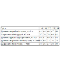 Спортивний костюм Носи своє модель 6369-057-4-temno-blakitnij Фото