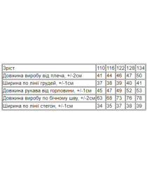 Спортивный костюм Носи своє модель 6369-057-5-temno-buzkovij Фото