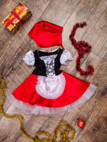 Костюм Носи своє Карнавальний модель 7007-ne-viznacheno Фото