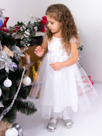 Сукня міді Носи своє модель 7008-ne-viznacheno Фото