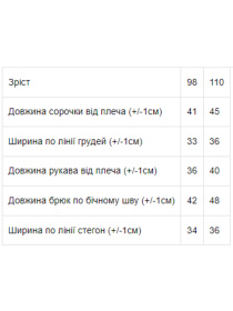 Костюм Носи своє Карнавальний модель 7010-ne-viznacheno Фото
