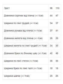 Повсякденний костюм Носи своє Карнавальний модель 7011-ne-viznacheno Повсякденний костюм Носи своє Карнавальний модель 7011-ne-viznacheno Фото