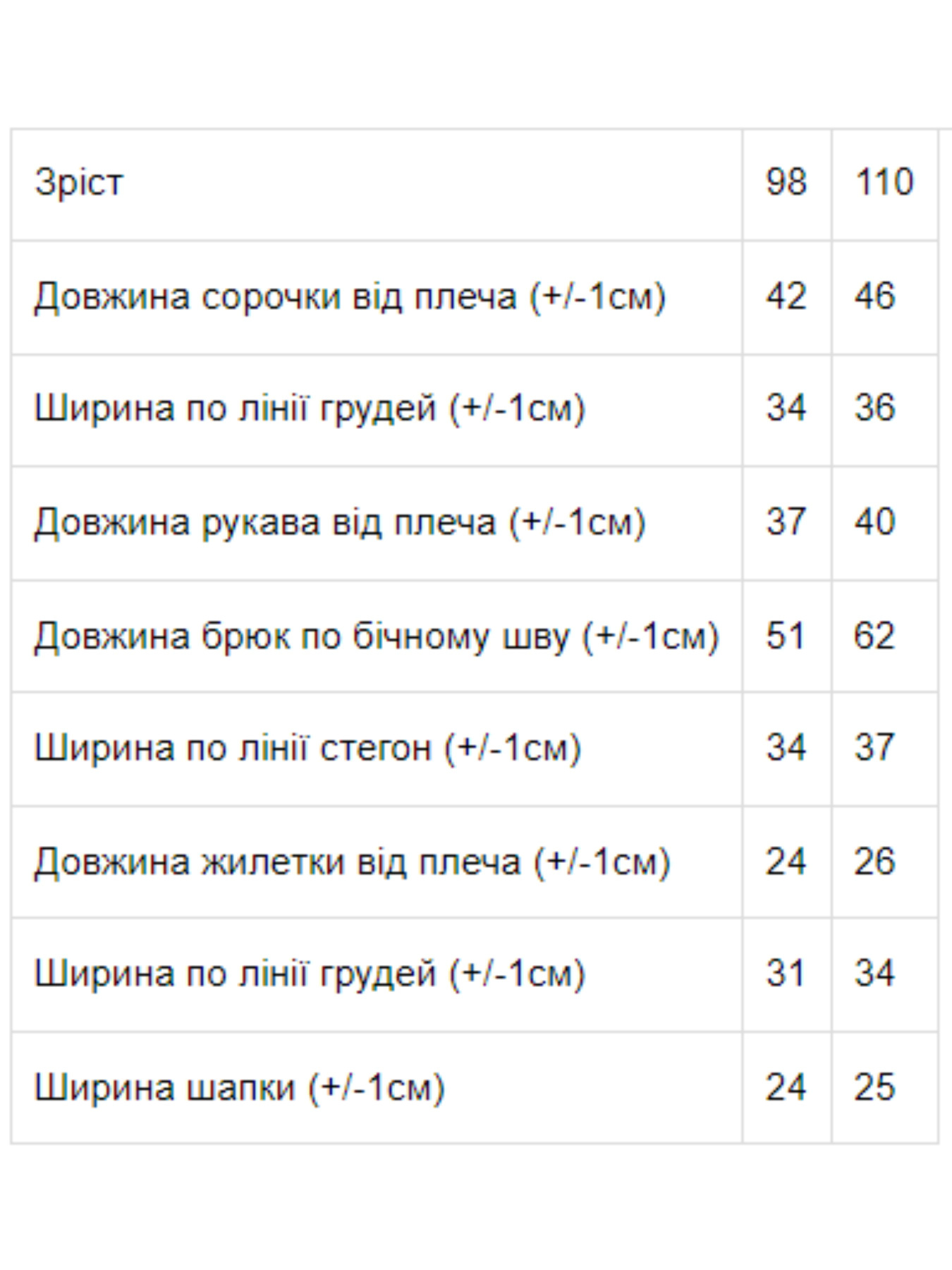 Костюм Носи своє Карнавальний модель 7024-ne-viznacheno Фото