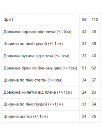 Костюм Носи своє Карнавальний модель 7024-ne-viznacheno Фото