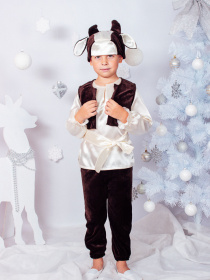 Повсякденний костюм Носи своє Карнавальний модель 7024-ne-viznacheno Фото