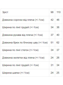 Повсякденний костюм Носи своє Карнавальний модель 7024-ne-viznacheno Фото