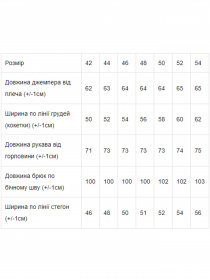 Спортивный костюм Носи своє модель 8150-057-chornij Фото