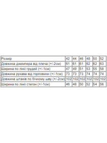 Спортивний костюм Носи своє модель 8329-057-bordovij Фото