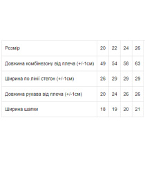 Комбинезон с утеплителем Носи своє модель 9540-023-33-ne-viznacheno Фото