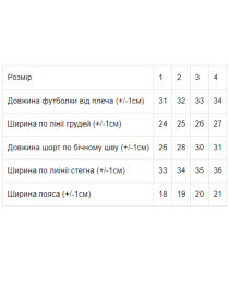 Повседневный костюм Носи своє модель 213224-ne-viznacheno Фото