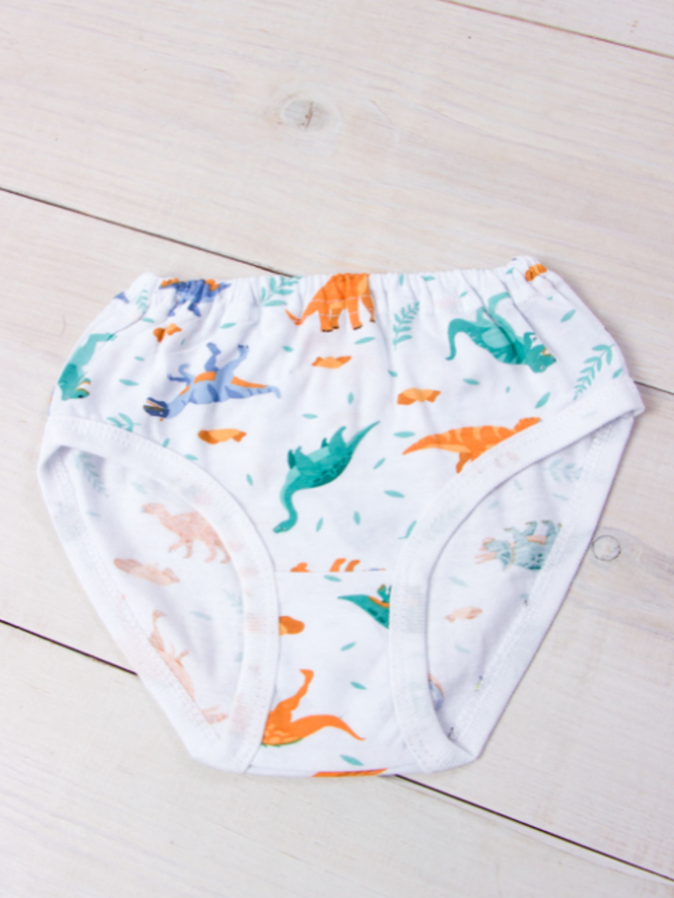 Трусы Носи своє модель 272-002V-dinozavr-na-blomu Фото