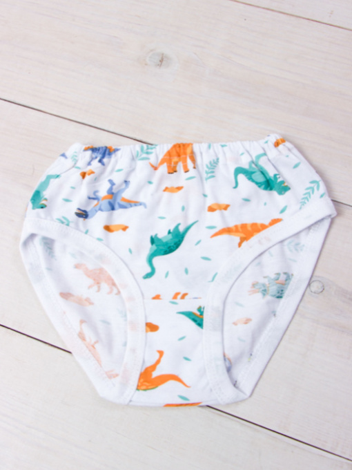 Труси Носи своє модель 272-002V-dinozavr-na-blomu Фото