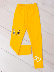 Леггинсы Носи своє модель 6000-036-33-burshtin-kicq Фото