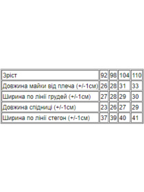 Костюм Носи своє модель 6013-002-33-ne-viznacheno Фото