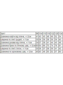 Спортивный костюм Носи своє модель 6018-023-33-6-elektrik Фото