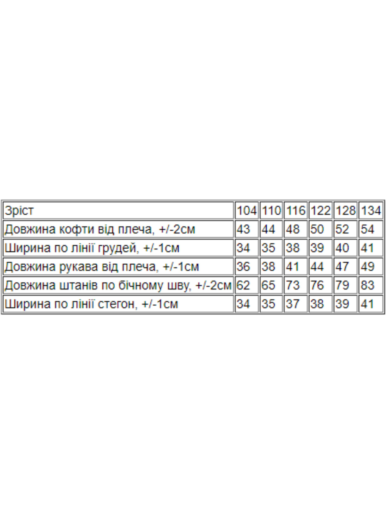 Спортивный костюм Носи своє модель 6018-023-33-7-burshtin-kicq Фото