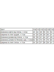 Спортивный костюм Носи своє модель 6018-023-33-7-burshtin-kicq Фото