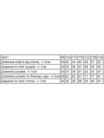 Спортивний костюм Носи своє модель 6018-057-33-6-elektrik Фото