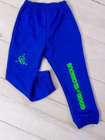 Джоггеры Носи своє модель 6060-057-33-4-blakitno-sinj Фото