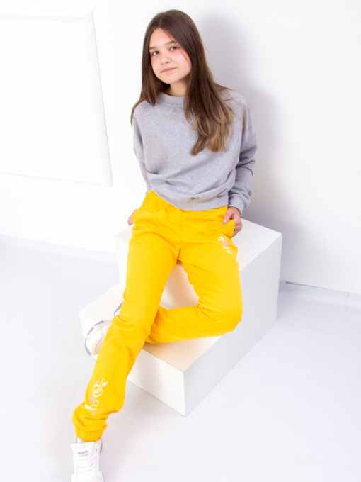 Джоггеры Носи своє модель 6060-057-33-5-burshtin Фото