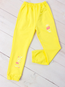 Джоггеры Носи своє модель 6060-057-33-5-limon Фото