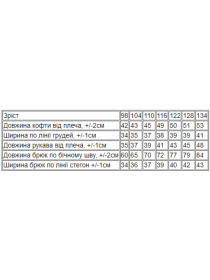 Спортивний костюм Носи своє модель 6063-023-33-7-blij-rozhevij Фото