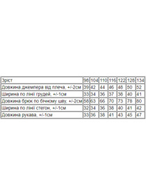 Спортивний костюм Носи своє модель 6063-057-5-blakitnij-melanzh Спортивний костюм Носи своє модель 6063-057-5-blakitnij-melanzh Фото