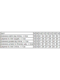 Спортивний костюм Носи своє модель 6063-1-elektrik-sngovik Фото