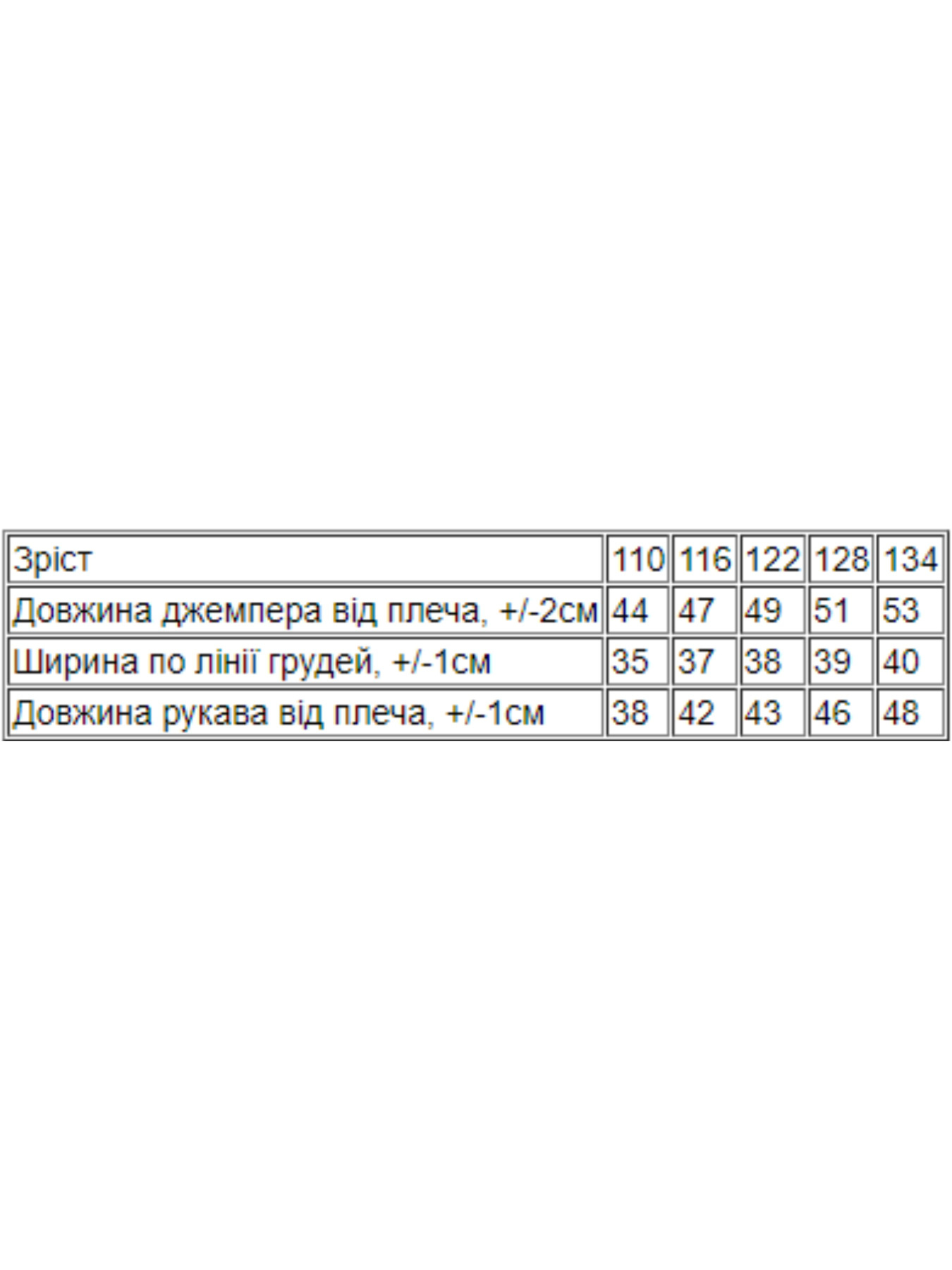 Свитшот Носи своє модель 6069-024-5-mnn-srij Фото