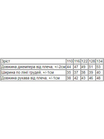 Свитшот Носи своє модель 6069-024-5-mnn-srij Фото