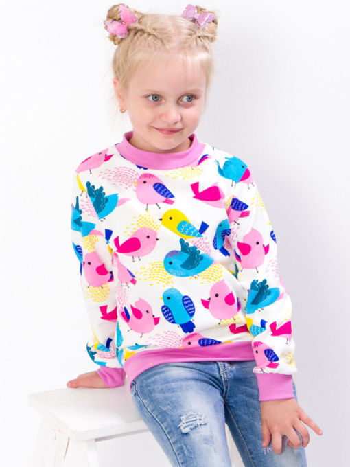 Свитшот Носи своє модель 6069-024-5-ptashki Фото