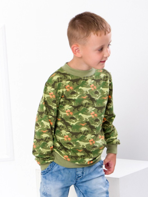 Свитшот Носи своє модель 6069-055-4-dno Фото