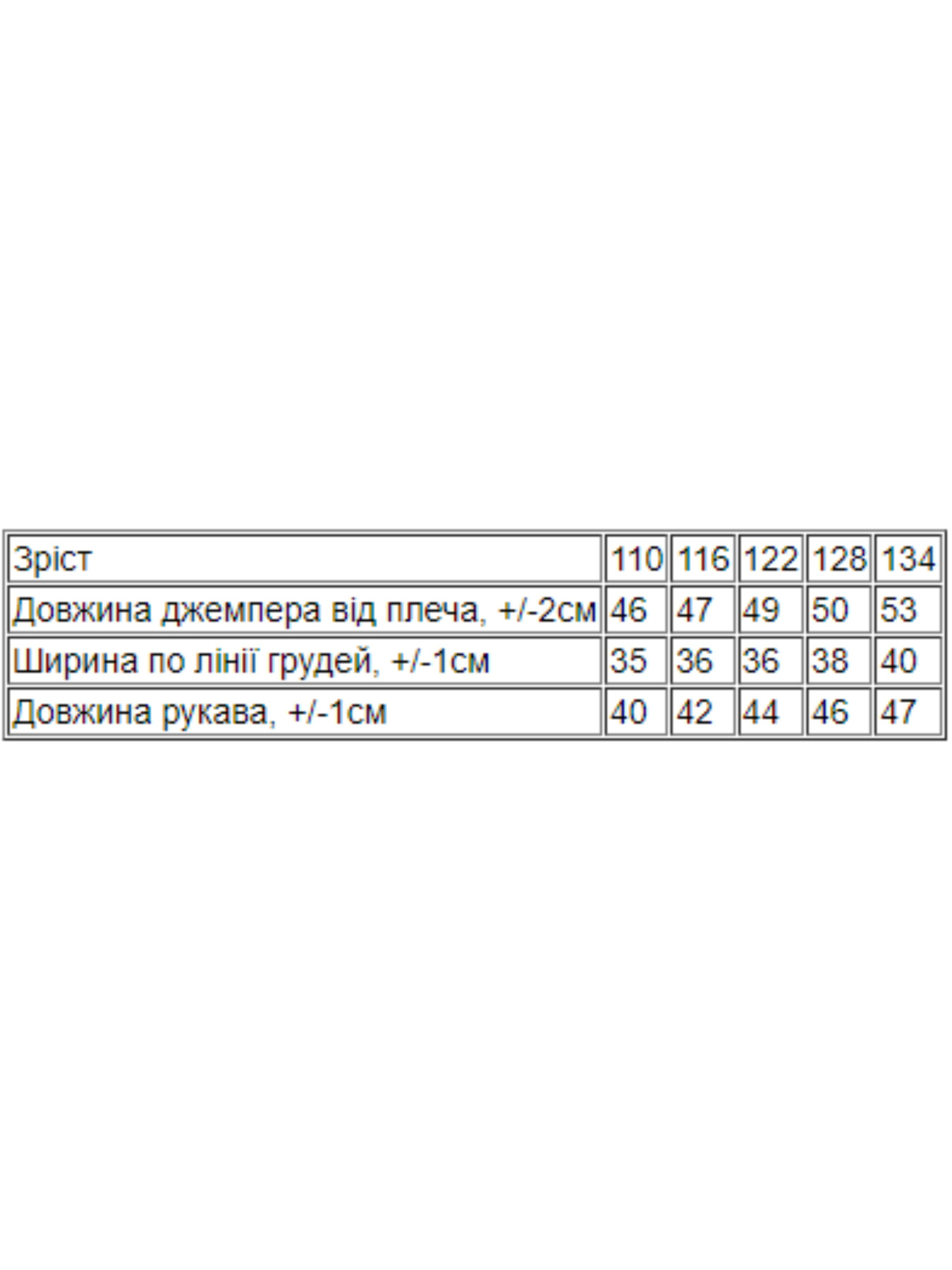 Свитшот Носи своє модель 6069-055-4-dno Фото